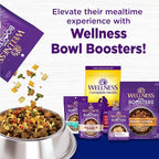 Wellness Natural Pet Food Complete Health Natural Dry Large Breed Puppy Food, Chicken, Salmon & Rice, 30-Pound Bag