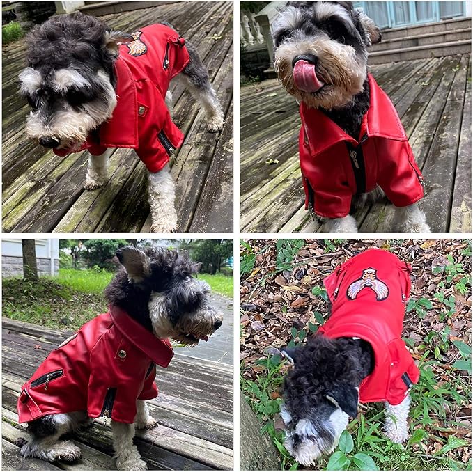 Lovelonglong Cool Dog Leather Jacket, Warm Coats Dogs Windproof Cold Weather Coats for Large Medium Small Dogs with Eagle Embroidery Red M