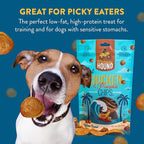 Chicken & Pumpkin Chips – Single Ingredient Dog Treats, All Natural & Healthy Training Snacks for Small, Medium & Large Breeds, Puppies – High Protein, Made in USA 3oz