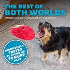 Outward Hound Tough Skinz Durable Squeaky Dog Toy with Two Tough Layers, Strawberry, Red, Medium