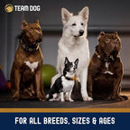 Team Dog Essential Blend Chicken & Sweet Potato | Sensitive Stomach Dog Food Small Breed & Large Breed | Gluten Free, GMO Free, No Corn, Wheat or Soy | All Life Stage Formula (33 lb Dry Dog Food)