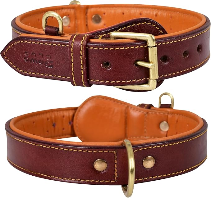 Genuine Leather Dog Collar – Full Grain, Breathable Inner Padding, Padded Buckle – Heavy Duty, Adjustable for Small, Medium, Large & XL Breeds | (X-Large (Fit Neck Size 22"-26"), Dark Brown)