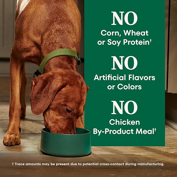 Nutro Natural Choice Lamb & Brown Rice Adult Large Breed Dog Food Dry Recipe, 30 lb. Bag
