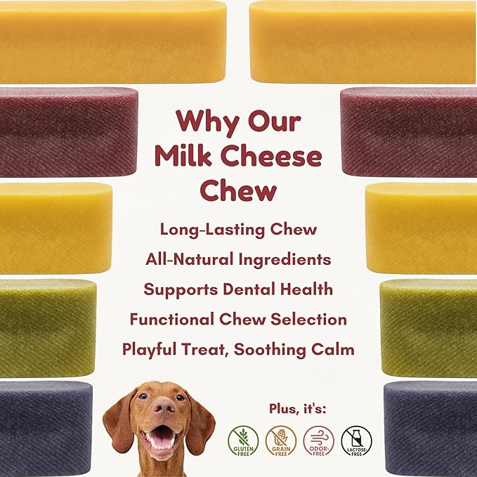 Majestic Pet Himalayan All-Natural Yak Cheese Dog Chews Made with 100% Cows Milk- Long Lasting Dental Chew for Dogs - Healthy Pet Treats (Dental & Bone Support, Regular, 1 Pack)