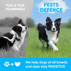 Chewable Flea and Tick Prevention for Dogs - 120 Soft Chews Made in USA - Oral Flea and Tick Control Pills for Small, Medium, Large Dogs and Puppies - Skin and Coat Supplement Treats for All Breeds