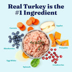 Solid Gold Lil' Boss Wet Dog Food, Turkey and Hearty Vegetable Recipe, Puppy & Adult Dogs of All Activity Levels, Toy and Small, 3.5 oz Cup, 12 Count