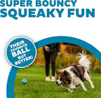 Outward Hound Squeaker Ballz 4-Pack Tennis Ball Dog Toys with Squeaker, Interactive Fetch Play for Pets Under 25 lbs, Training Balls for Indoor & Outdoor Exercise, Small, 2-inch