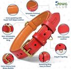 Genuine Leather Dog Collar | Full Grain, Heavy Duty, Comfortable, Padded, Strong | Best for Pups, Small, Medium, Large & XL Breeds (Large (Fit Neck Size 18.5"-22.5"), Red)