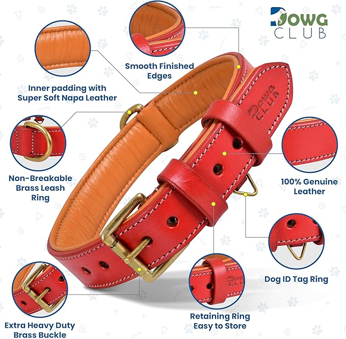 Leather Dog Collar for Extra Large Dogs, 1.5 Inch Wide Red Dog Collar | Genuine, Full Grain, Heavy Duty, Comfortable, Inner Soft Padding | (X-Large (Fit Neck Size 22"-26"), Red)