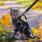 Tactical Cat Harness and Leash, Escape Proof Large Cat Walking Vest,Adjustable Soft Mesh Pet Vest Harness with Control Handle, Molle Patches Black