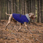 Lelepet Warm Dog Winter Coat Waterproof Dog Jacket with Adjustable Buckle & Leash Hole Reflective Pet Fleece Snowsuit Turtleneck Windproof Cold Weather Coats, Blue, XXL