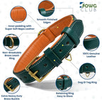 Genuine Leather Dog Collar | Full Grain, Heavy Duty, Comfortable, Padded, Strong | Best for Pups, Small, Medium, Large & XL Breeds (Large (Fit Neck Size 18.5"-22.5"), Teal Green)