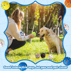 Lenwen 10 Pcs Dog Toy Ball for Aggressive Chewers Interactive Dog Ball for Boredom and Stimulating Bouncy Floating Rubber Toy for Large Medium Small Puppy(2.5 Inch,Glitter Color)