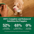 Nutro Natural Choice Chicken & Brown Rice Puppy Food Dry Recipe, 13 lb. Bag