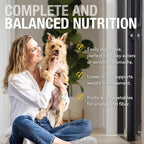 K9 Natural Wet Dog Food Pate, Chicken Feast, 13 Oz Cans (Pack of 12), Grain Free, Made in New Zealand with Cage-Free Chicken, Single Source, Limited Ingredient