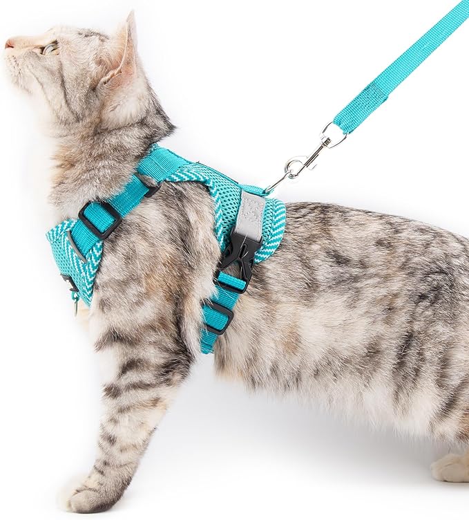 Cat Harness and Leash Escape Proof Extra Large Kitten Harness Maine Coon Cat Vest for Walking Travel, Turquoise, XXL