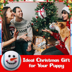 Civaner 36 Pcs Christmas Squeaky Tennis Balls for Dogs 2.5 Inch Bulk Dog Toys Ball for Small Medium Large Dogs Puppy Chew Teething Toy Interactive Training Xmas Gifts Stocking Stuffers (Santa)