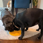 SPOT Soother Lick Mat- Dog Licking mat for Medium and Large Dogs and Puppies, Food Grade Rubber, Anxiety Reliever, Dog Peanut Butter Lick Pad, Slow Feeder, 7.5inch