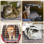 Tuanse 4 Pack Ultra Soft Dog Cat Bed Mat with Cute Prints Reversible Fleece Dog Crate Kennel Pad Cozy Washable Thickened Hamster Guinea Pig Pet Bed Mat for Small Animals(13 x 19 Inches,Gray)
