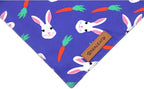 Realeaf Easter Dog Bandanas 2 Pack, Triangle Reversible Pet Scarf for Boy and Girl, Premium Durable Fabric, Holiday Bandana for Small Medium Large and Extra Large Dogs (Large)