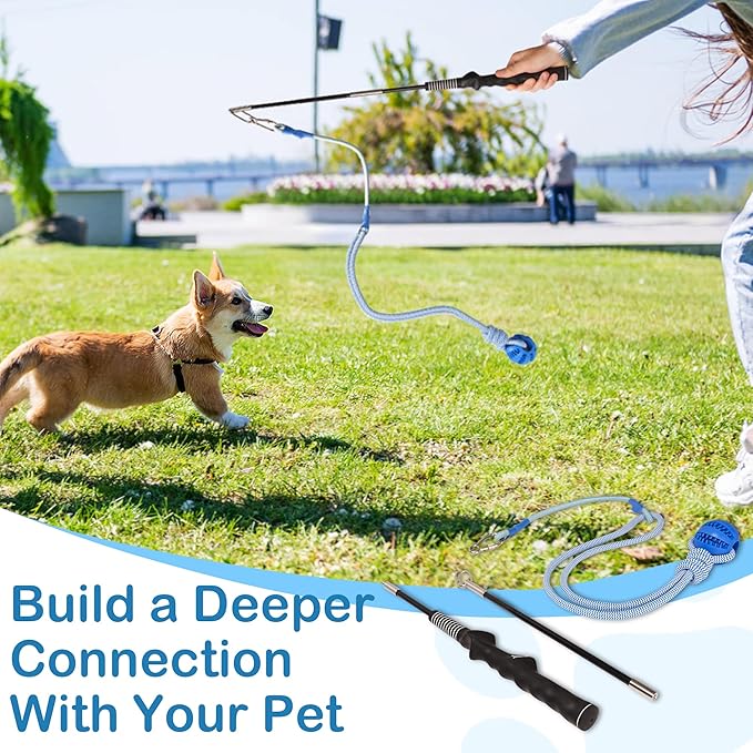 Flirt Pole for Dogs Interactive Dog Pole Toy for Large Medium Small Dogs, Sports Dog Teaser Pole for Tug of War, Flirt Pole with Lure Ball (Standard Pole + Elastic Rope)