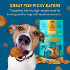 Chicken Chips – Single Ingredient Dog Treats, All Natural & Healthy Training Snacks for Small, Medium & Large Breeds, Puppies – High Protein, Made in USA 3oz