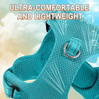 Dog Harness Step in Dog Vest Harness, Reflective Adjustable Puppy No Pull Harness Breathable Soft for Small and Medium Dogs Cats, Ocean Blue, XS