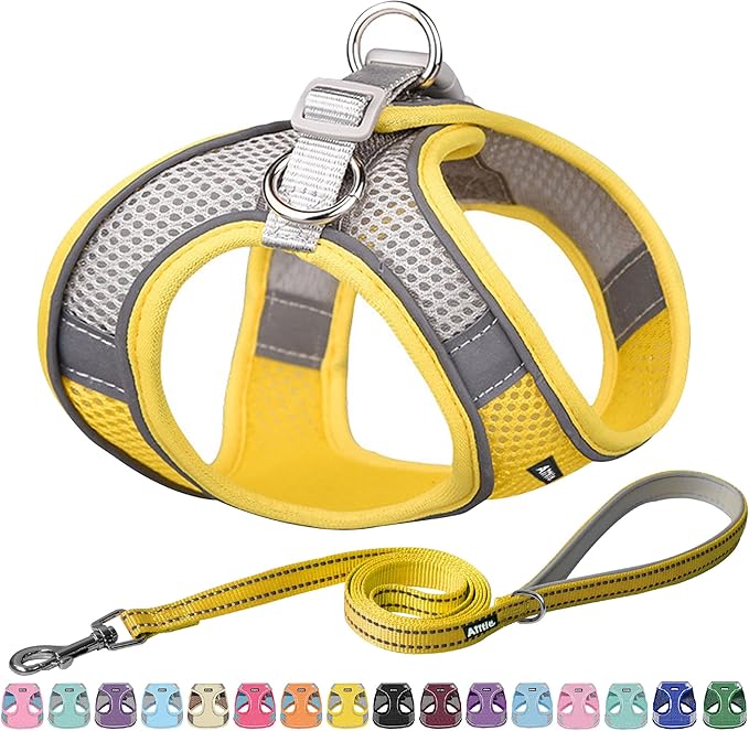 AIITLE Escape Proof Dog Harness - Step in Adjustable Puppy Vest No Choke Over with Breathable Mesh and Quick-Release Buckle for Summer- Outdoor Walking, Camping, Training for Medium Dogs Yellow XL