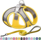 AIITLE Comfortable Dog Harness and Leash Set for Walking - Spring Step in Vest Harness,Reflective Bands, Adjustable No Pull Puppy Essentials, for Small Dogs and House Cats Yellow XS