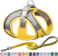 AIITLE Small Harness for Puppy with A Leash - Summer Dog Harnesses with Super Breathable Mesh, Reflective No-Pull Pet Vest for Outdoor Walking, Camping for XX-Small Dogs, Cats Yellow XXS