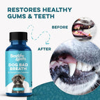 Dog Bad Breath & Dental Care Solution, Supports Canine Oral Health, Relieves Stinky Breath, Tooth Pain, Red Swollen Gums, Helps Reduce Plaque and Gingivitis, 400 Odorless, Tasteless Easy to Use Pills