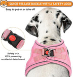 Dog Harness with Leash Set, No-Pull Step-in Reflective Pet Harness with 1 Leash Clips, Adjustable Soft Padded Easy Walk Dog Vest for Small Medium Large Dogs, Cats(Light Pink, Small)