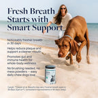 Veterinary Formula Dental Health Supplement for Dogs – Vet-Formulated Chews with EpiCor® & Kelp – Smart Vitality Supports Plaque, Tartar, Breath & Oral Health, 60 Soft Chews