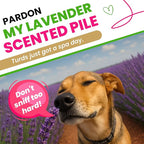 Dog Poop Bags 120 Count – Leakproof, Easy Open, Lavender Scent | Extra Thick Plant-Based PLA + PBAT, Fits All Dispensers | Funny Hey Stinky Design – $1 Donated to Service & Therapy Dogs