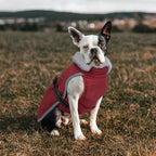Lelepet Warm Dog Winter Coat Reflective Dog Jacket Fleece Vest Waterproof Windproof Cold Weather Coats with Adjustable Buckle Plush Turtleneck Pet Snowsuit for Small Medium Large Dogs,Pug,Beagle,L