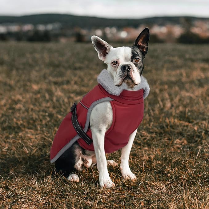 Lelepet Warm Dog Winter Coat Reflective Dog Jacket Fleece Vest Waterproof Windproof Cold Weather Coats with Adjustable Buckle Plush Turtleneck Pet Snowsuit for Small Medium Large Dogs,Pitbull,Lab,XL