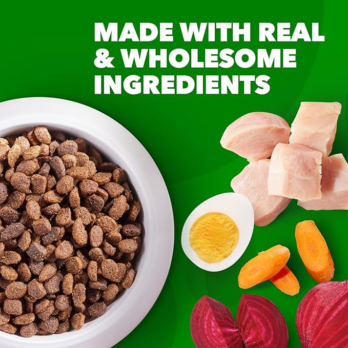 IAMS Proactive Health Minichunks Adult Dry Dog Food with Real Chicken, 15 lb. Bag