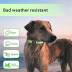 PcEoTllar Light up Dog Collar for Night Walking - LED Dog Collar Light Rechargeable Color Changing, Glow in The Dark Dog Collars Waterproof Glowing Dog Collars for Large Small Medium Dogs