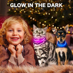 BSEEN Light Up Dog Collar, High Visibility LED Dog Collar Rechargeable- Rainproof TPU Cuttable Glowing Pet Collar for Small Dogs & Cats - Puppy Safety Lights for Night Walking (XS- Blue 40cm)