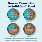 Solid Gold Sensitive Stomach Wet Dog Food for Adult & Senior Dogs - Grain Free Wet Dog Food w/Real Chicken, Salmon, Probiotics & Superfoods for Gut Health & Sensitive Stomach Support -6ct 12.5oz Cans