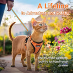 Dooradar Cat Harness and Leash Set, Escape Proof Safe Adjustable Kitten Vest Harnesses for Walking, Easy Control Soft Breathable Mesh Jacket with Reflective Strips for Cats, Orange, S