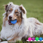3'' Squeaky Dog Toy Balls for Lagre Medium Breed, Indestructible Dog Balls for Playing, Fetching & Retrieving, Durable Aggressive Chewers, 2 PCS Red+Purple