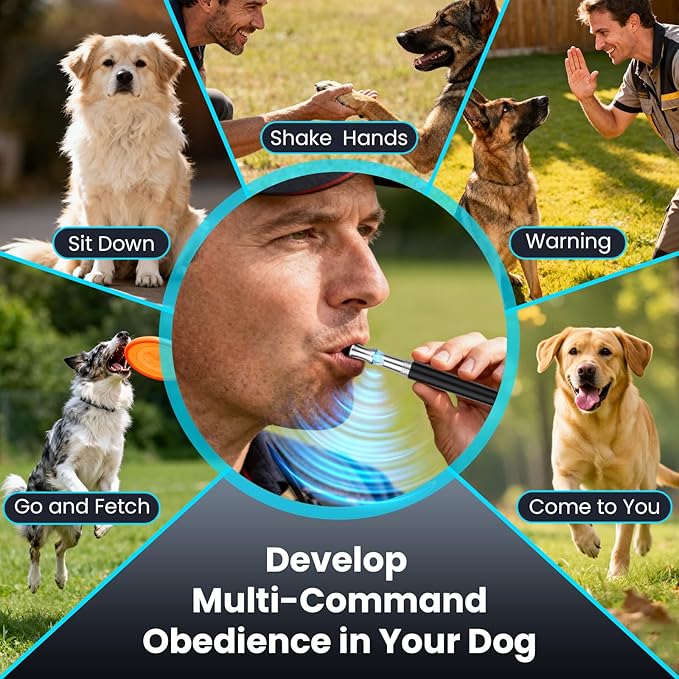 Dog Whistle, Dog Training Whistle to Stop Barking Neighbor's Dog, 2 Pack Adjustable Ultrasonic Silent Dog Recall Training Whistles with Lanyard, Professional Dog Whistle for All Dogs