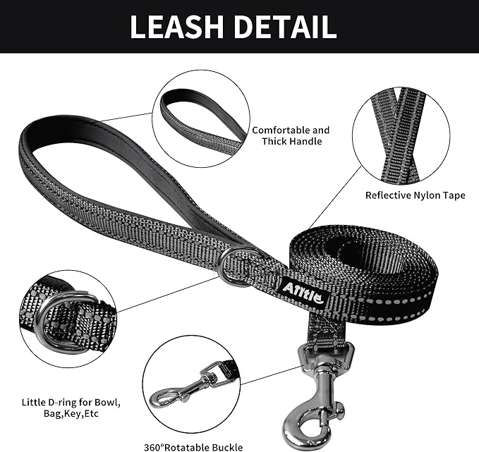 AIITLE Comfortable Dog Harness and Leash Set for Walking - Summer Step in Vest Harness,Reflective Bands, Adjustable No Pull Puppy Essentials, for Small Dogs and House Cats Black XS