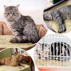 4 Pack Self Heating Cat Pad Self Warming Dog Mat Reflects Body Heat Extra Warm Thermal Pet Pad Washable Dog Cat Bed Crate Bed Mat Blanket(Beige,16 x 20 Inch)