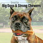 ValueBull Himalayan Yak Cheese Dog Chews, Large, 25 ct Bulk Pack - Long Lasting for Aggressive Chewers, All Natural, Healthy & Safe, Low Odor Nepal Yak Milk Chews