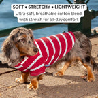 DJANGO Dog Hoodie – Warm, Lightweight, Soft & Stretchy Dog Sweater with Hood, Harness Hole & Elastic Waistband – Cozy Sweatshirt for Small Dogs up to 25 lbs, Dachshunds & Puppies – Crimson Red, XS