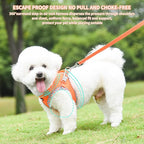 AIITLE Dog Harness and Leash Set - Ultra-Comfortable XXS-XL Vest with Strong Magic Tape & Glow-in-Dark Reflective Strips, Chafe-Free for Teddy, Schnauzer (Orange, M)