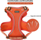 Rttochfy Cat Harness and Leash Set, Adjustable and Reflective Cat Vest, Escape Proof Kitten Harness, Easy to Put on with 3 Buckles for Cats Walking and Traveling (Orange, M)