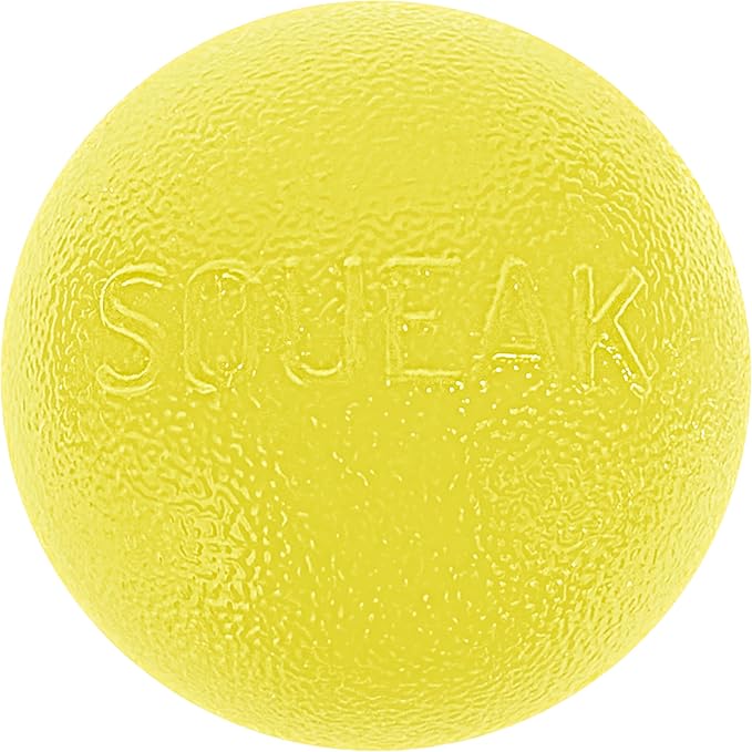 Outward Hound by Planet Dog Squeak Ball Bouncy Fetch Dog Toy, Yellow